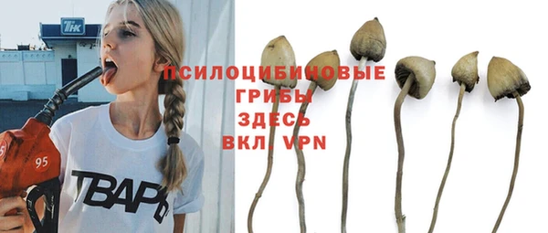 тгк Абинск