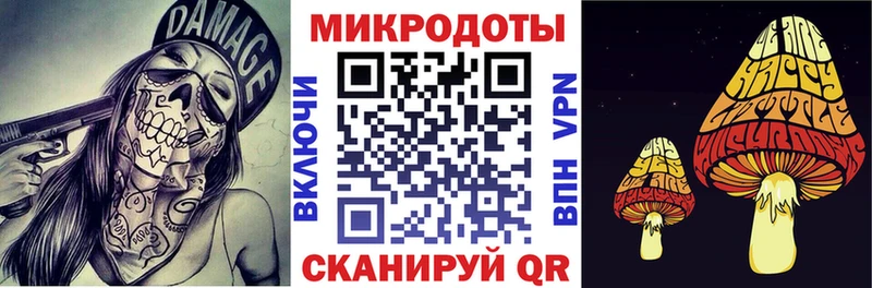 цены   Жердевка  Псилоцибиновые грибы Psilocybe 
